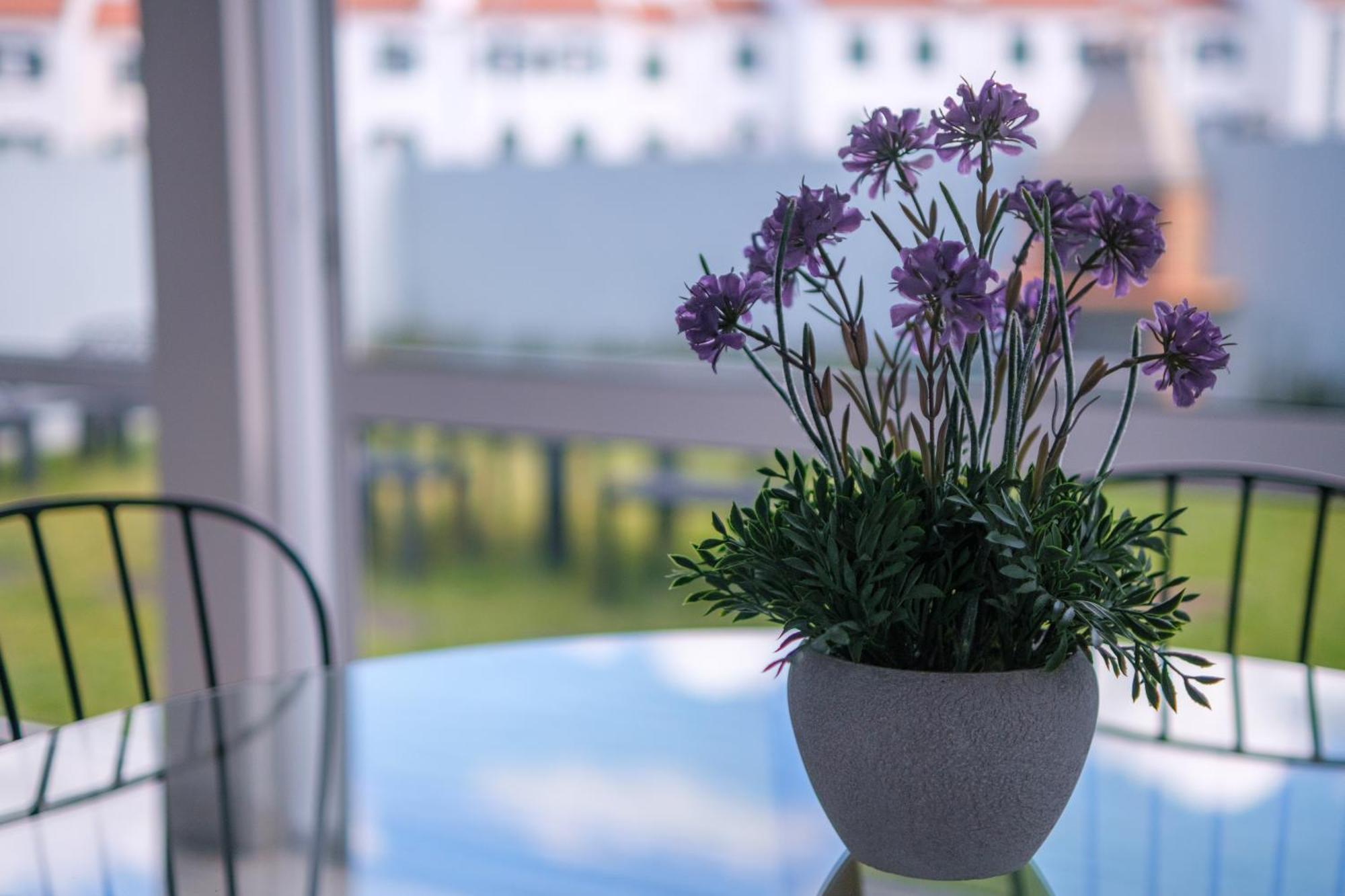 Areal De Santa Barbara Guest House Ribeira Grande Bagian luar foto